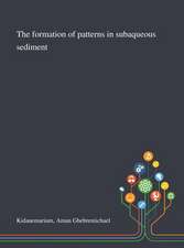 The Formation of Patterns in Subaqueous Sediment