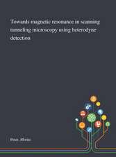 Towards Magnetic Resonance in Scanning Tunneling Microscopy Using Heterodyne Detection