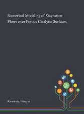 Numerical Modeling of Stagnation Flows Over Porous Catalytic Surfaces