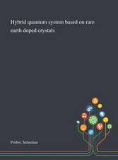 Hybrid Quantum System Based on Rare Earth Doped Crystals