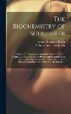 The Biochemistry of Schuessler; a System of Treatment to Maintain the Body and Mind in Health and to Cure All Curable Physical and Mental Diseases by Use of the Eleven Tissue-remedies, or Cell-foods, Discovered and First Used by Dr. Wilhelm Heinrich...