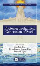 Photoelectrochemical Generation of Fuels