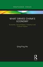 What Drives China’s Economy: Economic, Socio-Political, Historical and Cultural Factors