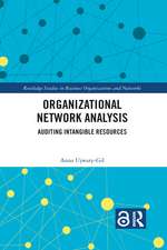 Organizational Network Analysis: Auditing Intangible Resources