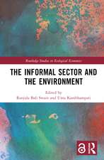 The Informal Sector and the Environment