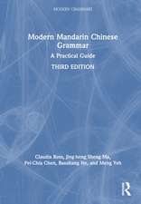 Modern Mandarin Chinese Grammar: A Practical Guide