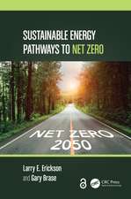 Sustainable Energy Pathways to Net Zero