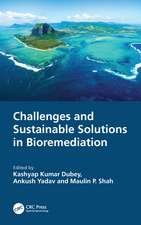 Challenges and Sustainable Solutions in Bioremediation