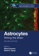 Astrocytes