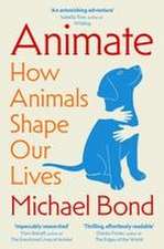 Animate