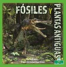 Fósiles Y Plantas Antiguas (Fossils and Ancient Plants)