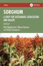Sorghum: A Crop for Sustainable Agriculture and Health