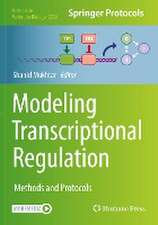 Modeling Transcriptional Regulation