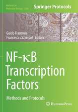 NF-κB Transcription Factors