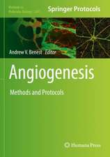 Angiogenesis