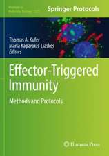 Effector-Triggered Immunity: Methods and Protocols