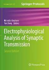 Electrophysiological Analysis of Synaptic Transmission