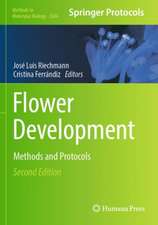 Flower Development