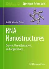 RNA Nanostructures