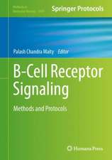 B-Cell Receptor Signaling