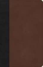 CSB Thinline Bible, Black/Brown Leathertouch