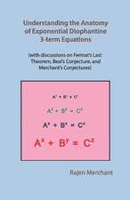 Understanding Anatomy of Exponential Diophantine 3-Term Equations