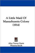 A Little Maid Of Massachusetts Colony (1914)