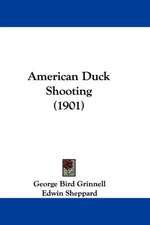 American Duck Shooting (1901)