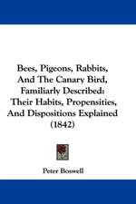 Bees, Pigeons, Rabbits, And The Canary Bird, Familiarly Described