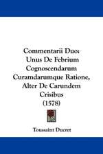 Commentarii Duo