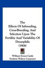 The Effects Of Inbreeding, Cross-Breeding, And Selection Upon The Fertility And Variability Of Drosophila (1906)