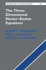 The Three-Dimensional Navier–Stokes Equations: Classical Theory