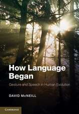 How Language Began: Gesture and Speech in Human Evolution