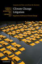 Climate Change Litigation: Regulatory Pathways to Cleaner Energy