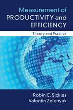 Measurement of Productivity and Efficiency: Theory and Practice