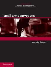 Small Arms Survey 2013: Everyday Dangers