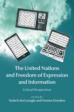 The United Nations and Freedom of Expression and Information: Critical Perspectives