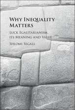 Why Inequality Matters: Luck Egalitarianism, its Meaning and Value