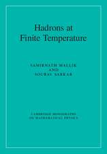 Hadrons at Finite Temperature