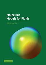 Molecular Models for Fluids