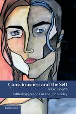 Consciousness and the Self: New Essays