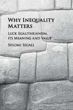 Why Inequality Matters: Luck Egalitarianism, its Meaning and Value