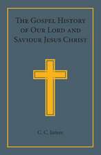 The Gospel History of our Lord and Saviour Jesus Christ: In a Connected Narrative in the Words of the Revised Version