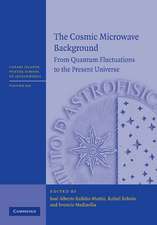 The Cosmic Microwave Background: From Quantum Fluctuations to the Present Universe