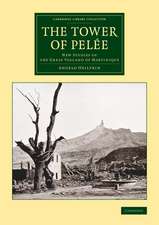 The Tower of Pelée: New Studies of the Great Volcano of Martinique