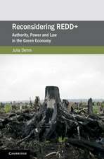 Reconsidering REDD+: Authority, Power and Law in the Green Economy