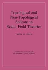 Topological and Non-Topological Solitons in Scalar Field Theories