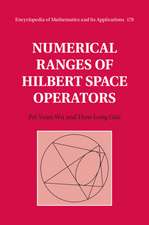 Numerical Ranges of Hilbert Space Operators