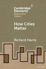 How Cities Matter