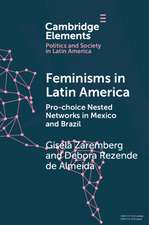 Feminisms in Latin America: Pro-choice Nested Networks in Mexico and Brazil